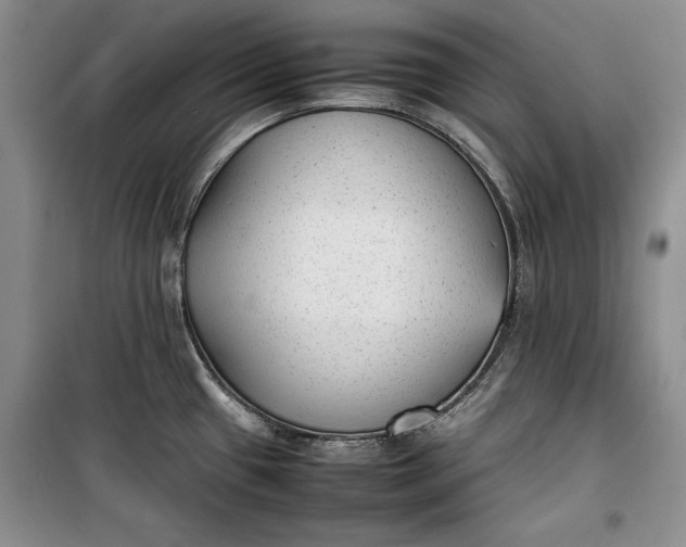 X0000100191433200806131157