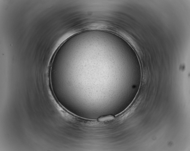 X0000100191434200806131157