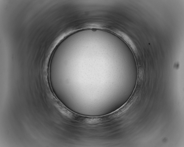 X0000100191435200806131157