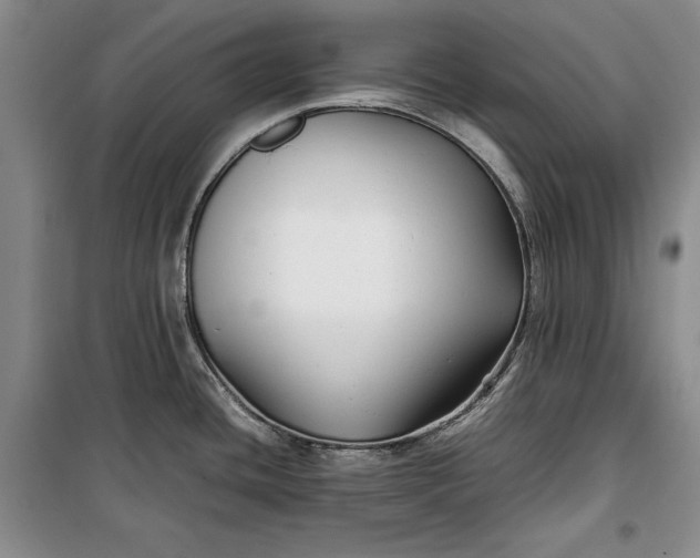 X0000100191436200806131157