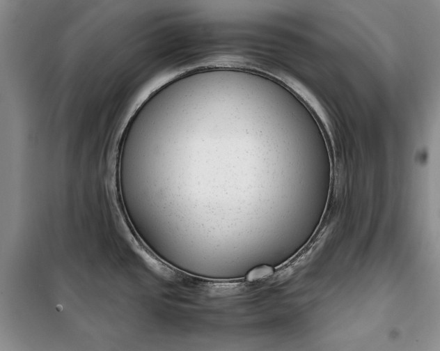 X0000100191437200806131157