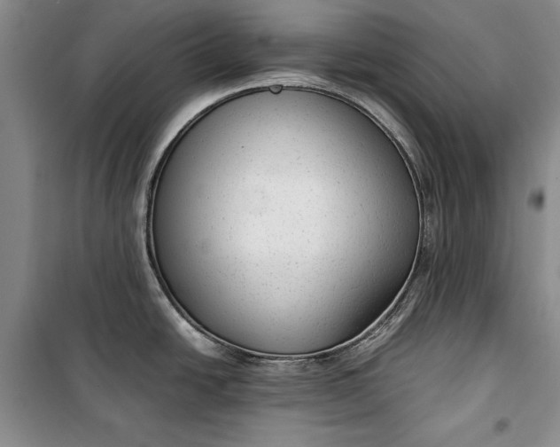 X0000100191438200806131157