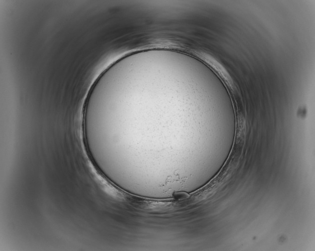 X0000100191439200806131157