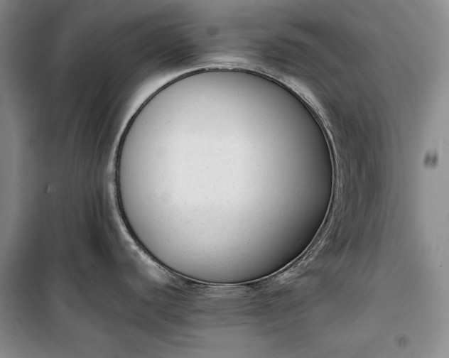 X0000100191440200806131157