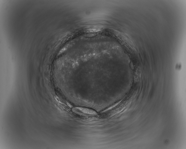 X0000100191441200806131156