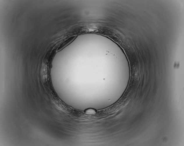 X0000100191442200806131156