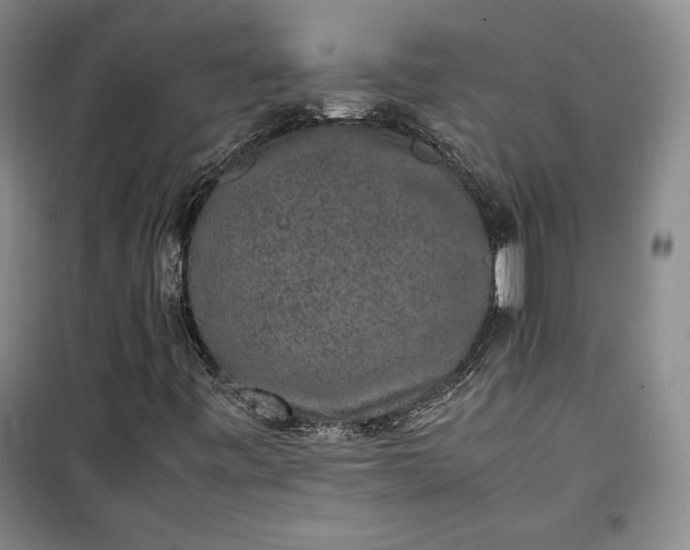 X0000100191443200806131156