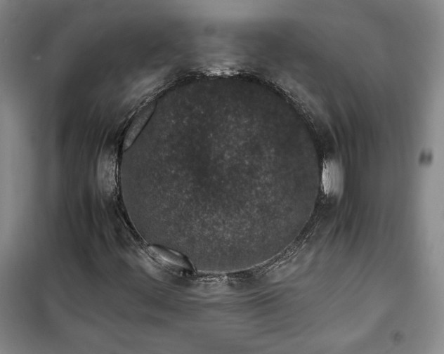 X0000100191444200806131156