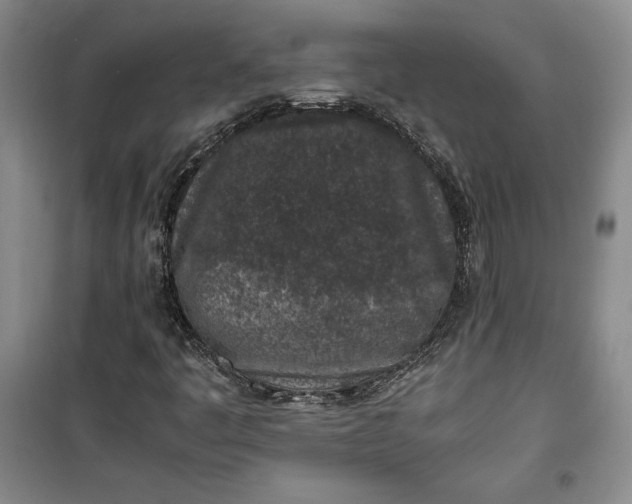 X0000100191445200806131156