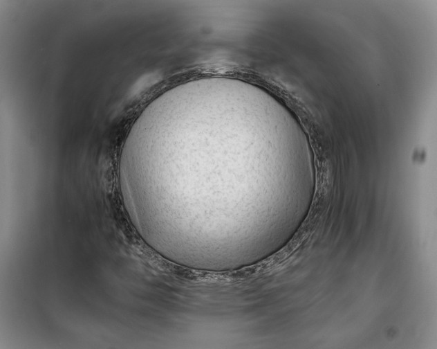 X0000100191446200806131156