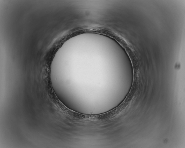 X0000100191447200806131156