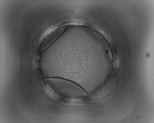 X0000100191448200806131156