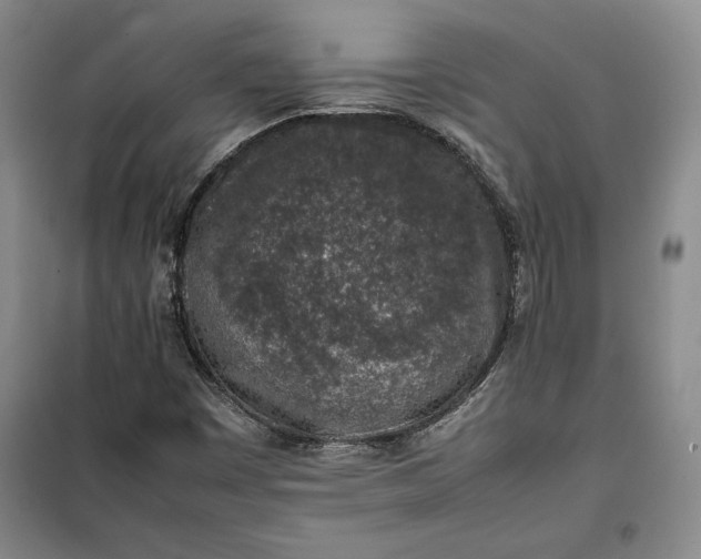 X0000100191449200806131156