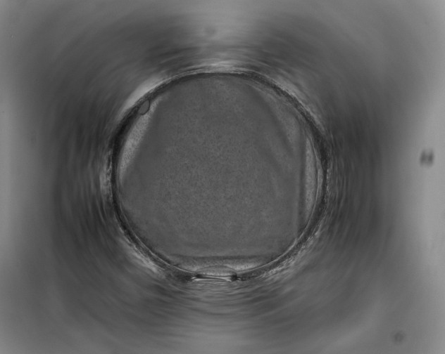 X0000100191450200806131156