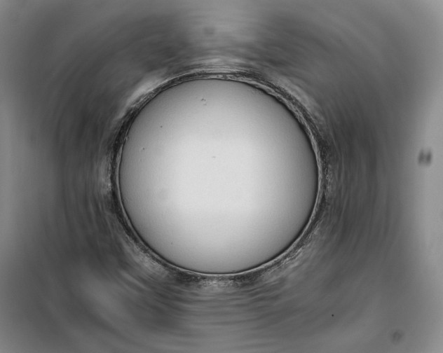 X0000100191451200806131156