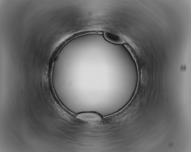 X0000100191452200806131156