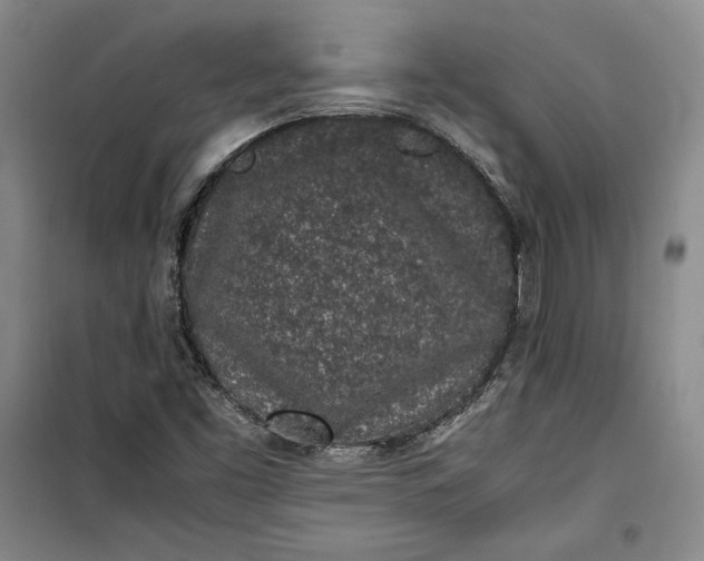 X0000100191453200806131156