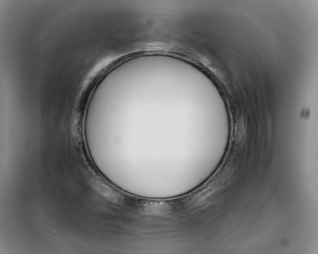 X0000100191454200806131156