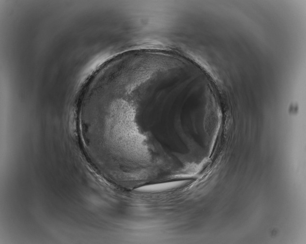 X0000100191455200806131156