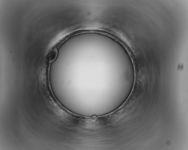 X0000100191456200806131156