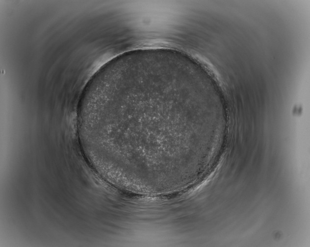 X0000100191457200806131156