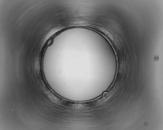 X0000100191458200806131156