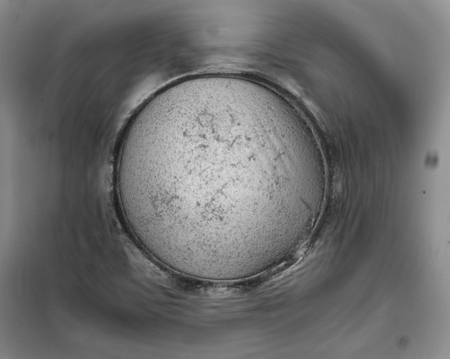 X0000100191459200806131156