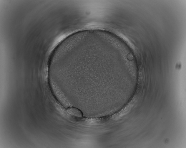 X0000100191461200806131156