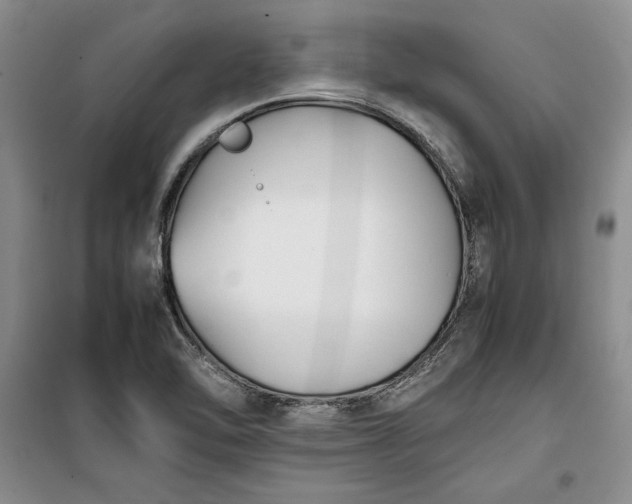 X0000100191462200806131156