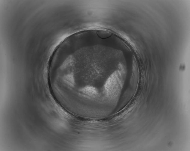 X0000100191463200806131156