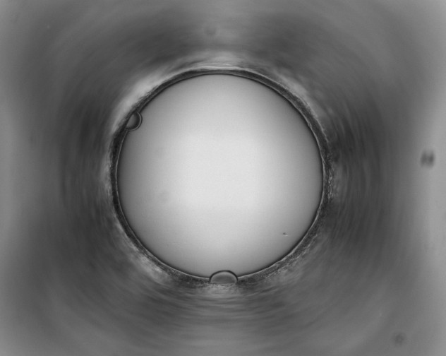 X0000100191464200806131156