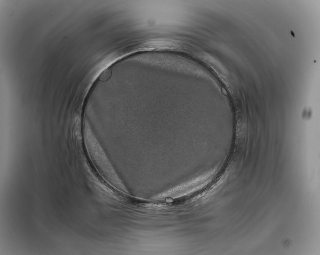 X0000100191465200806131156