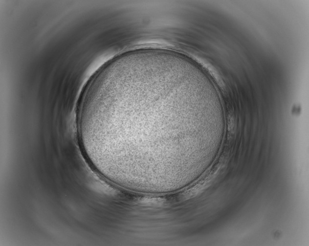 X0000100191466200806131156