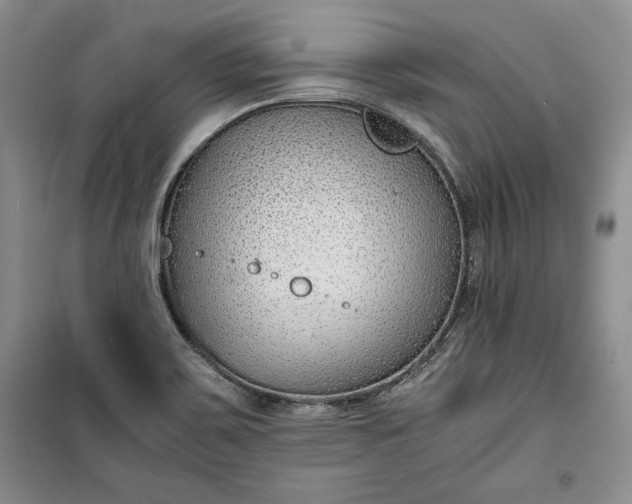 X0000100191467200806131156