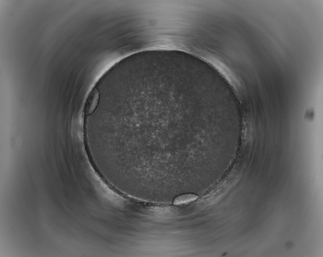 X0000100191468200806131156