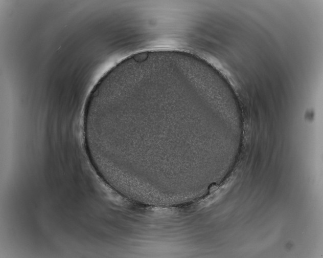 X0000100191469200806131156