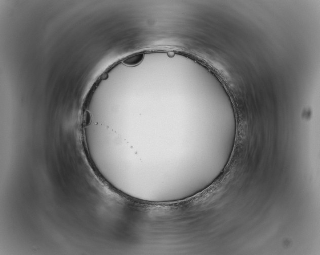 X0000100191470200806131156