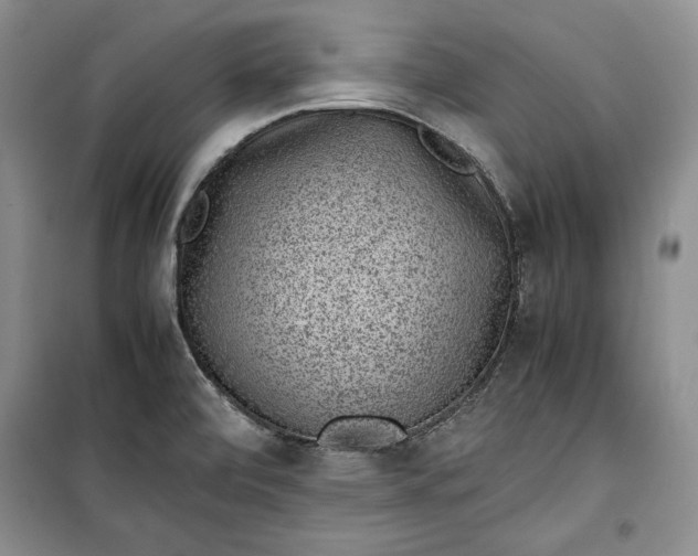 X0000100191472200806131156