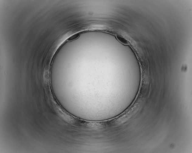 X0000100191473200806131156