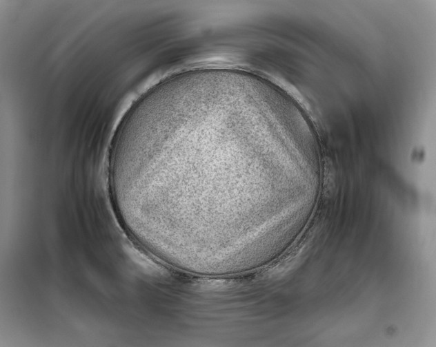 X0000100191474200806131156