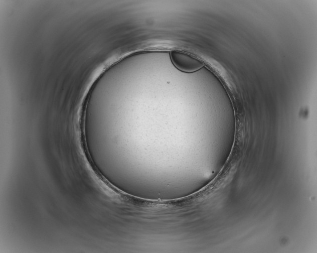 X0000100191475200806131156