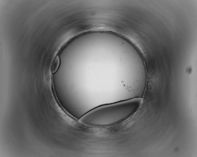 X0000100191476200806131156