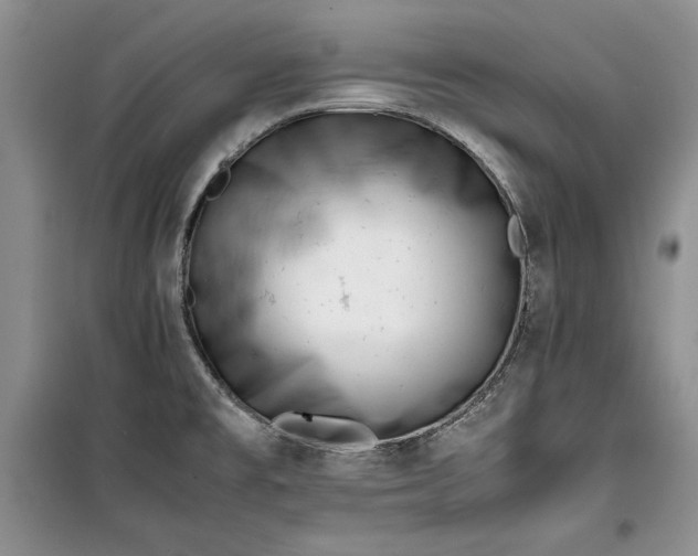 X0000100191477200806131156