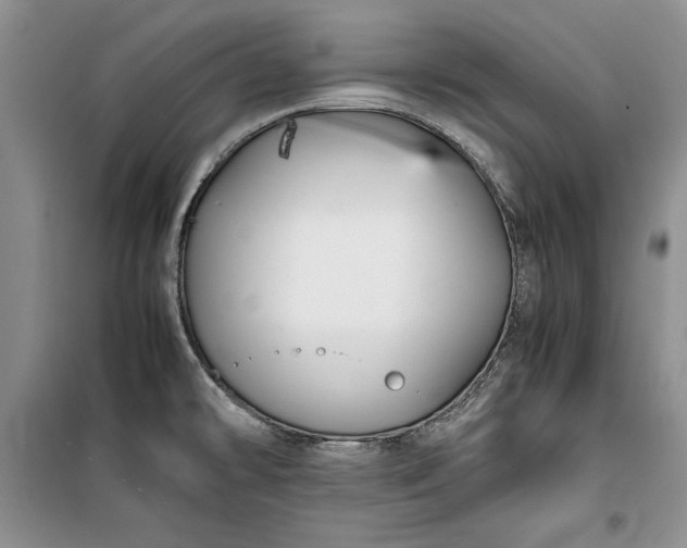 X0000100191478200806131156