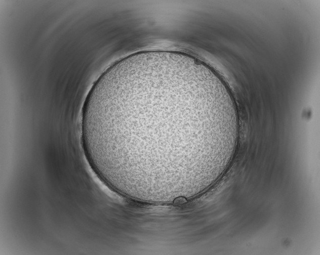 X0000100191479200806131156