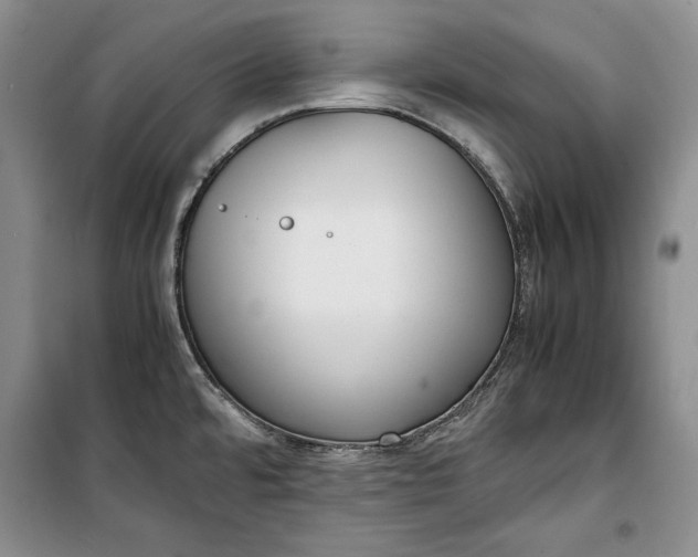 X0000100191480200806131156