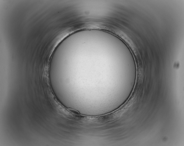 X0000100191481200806131156