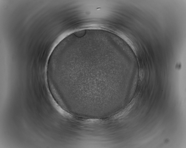 X0000100191482200806131156