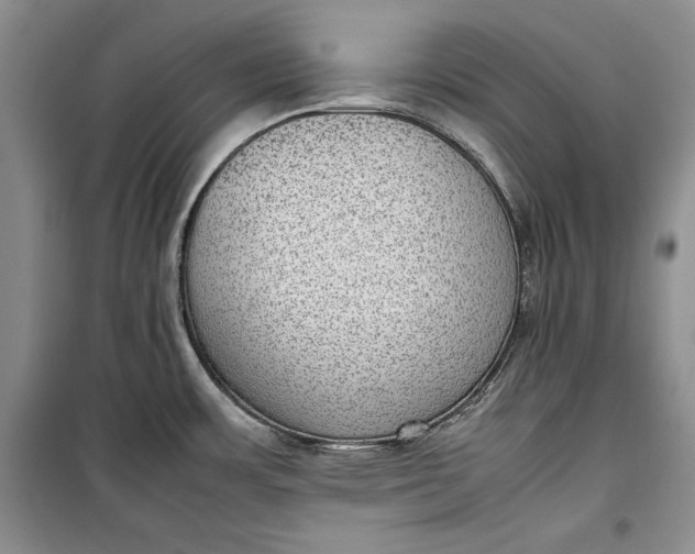 X0000100191483200806131156