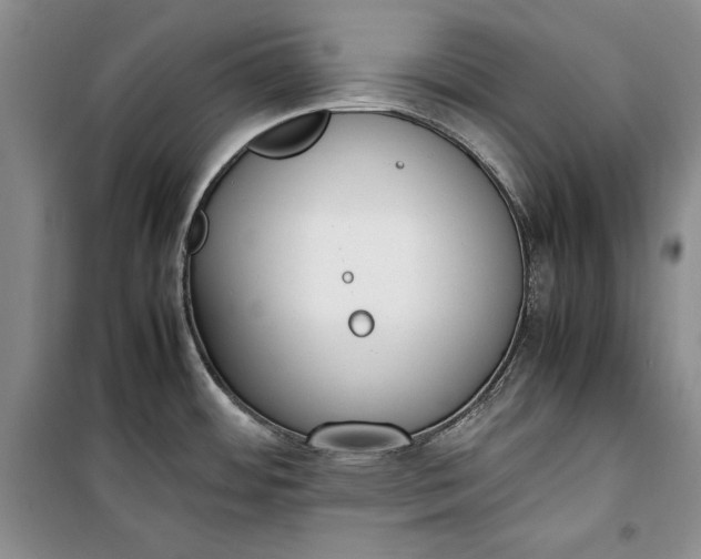 X0000100191484200806131156